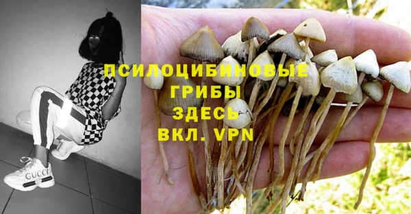 хмурый Абдулино